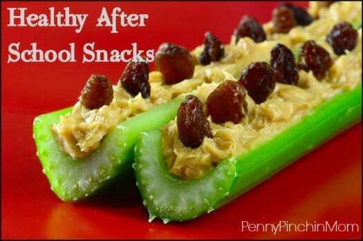 When the kids run through the door after school, the first thing you usually hear is I'm Hungry!!!! Check out these FUN and HEALTHY snack ideas (and your kids won't know that they are actually eating something good for them)!!