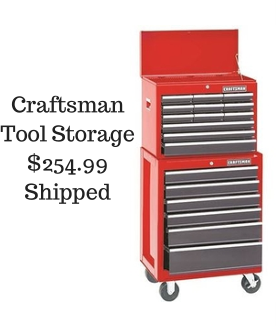 CraftsmanTool Storage254