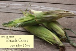 How To Shuck Corn Quickly And Easily! - Penny Pinchin Mom