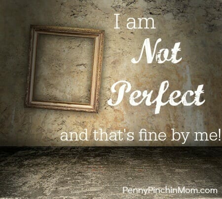 I’m Not Perfect.  And I’m MORE Than Fine With That.