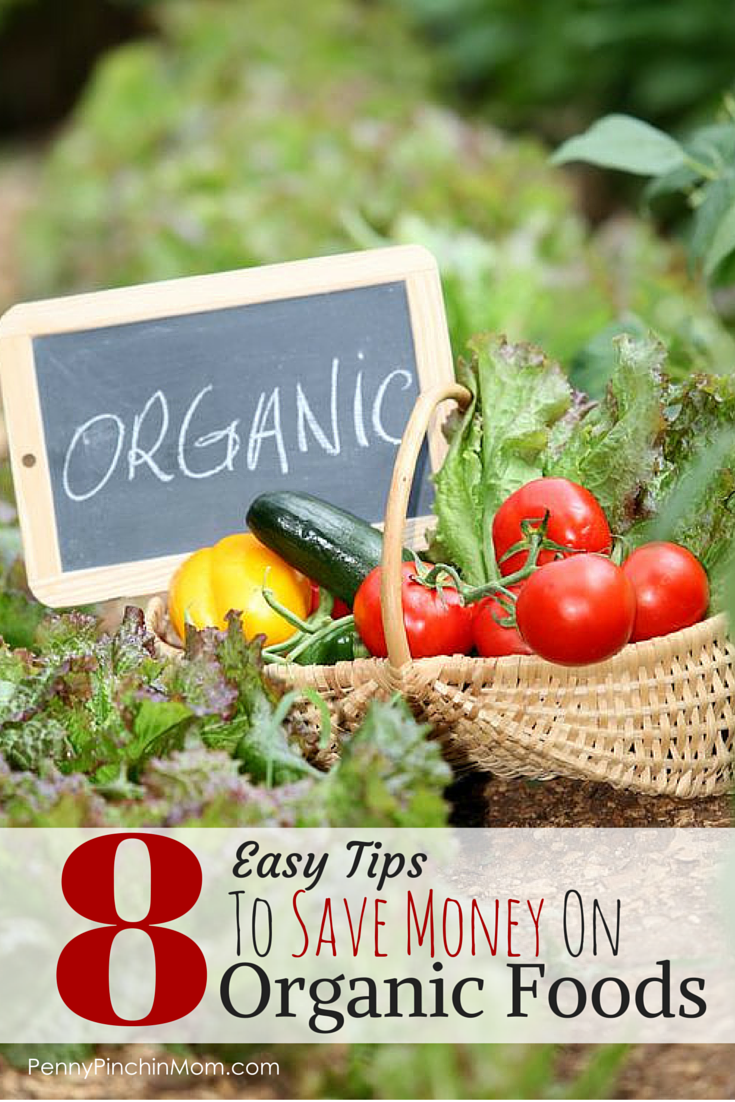 It is true that organic and natural foods do cost more, but they don't have to! There are actually ways YOU can save on your organic purchases! These 8 Tips will put the food you want on your table and keep money in YOUR pocket!