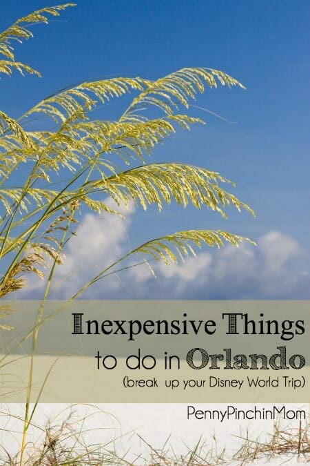 If you are headed to Orlando to Disney World, you already know it is expensive.  We've rounded up TEN great things you can do outside of the resort (and most are really affordable)!!