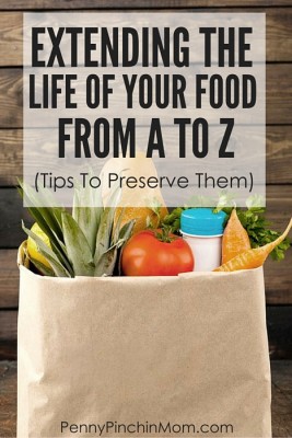 Get amazing tips to extend the life of the foods you find including when to refrigerate, when they start to go bad and even tips to freeze items when you find them on sale!!