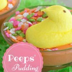 Love Peeps? Find out how easy it is to make pudding that taste JUST like a Marshmallow Peep!