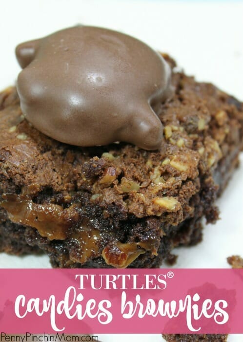 turtles brownies