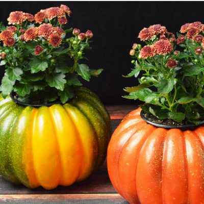 DIY Pumpkin Planters