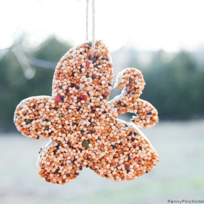 Easy Bird Seed Shapes
