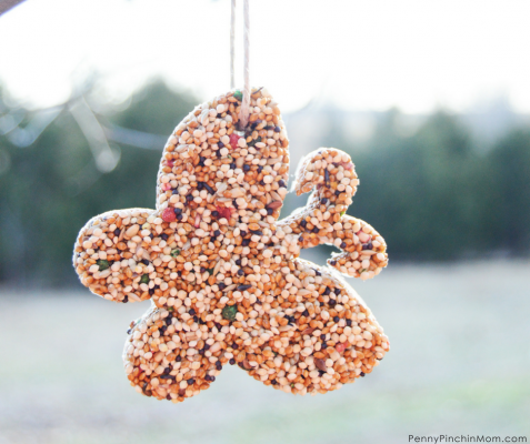 Easy Bird Seed Shapes