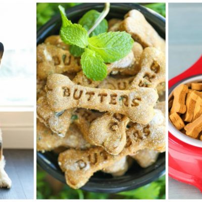 17 Easy & Delicious Homemade Dog Treats
