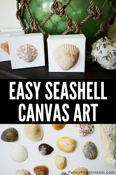 Easy Seashell Canvas Art