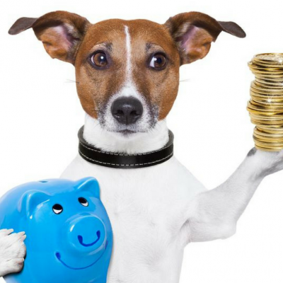 14 Simple Ways to Save Big Money on Pet Supplies