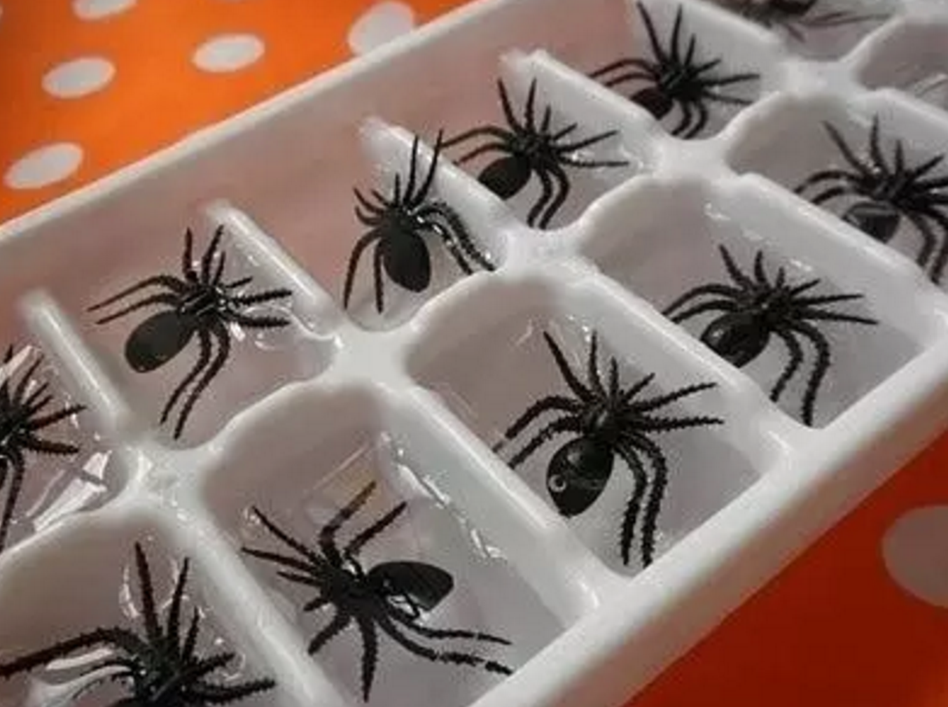 Halloween decorations spider ice cubes