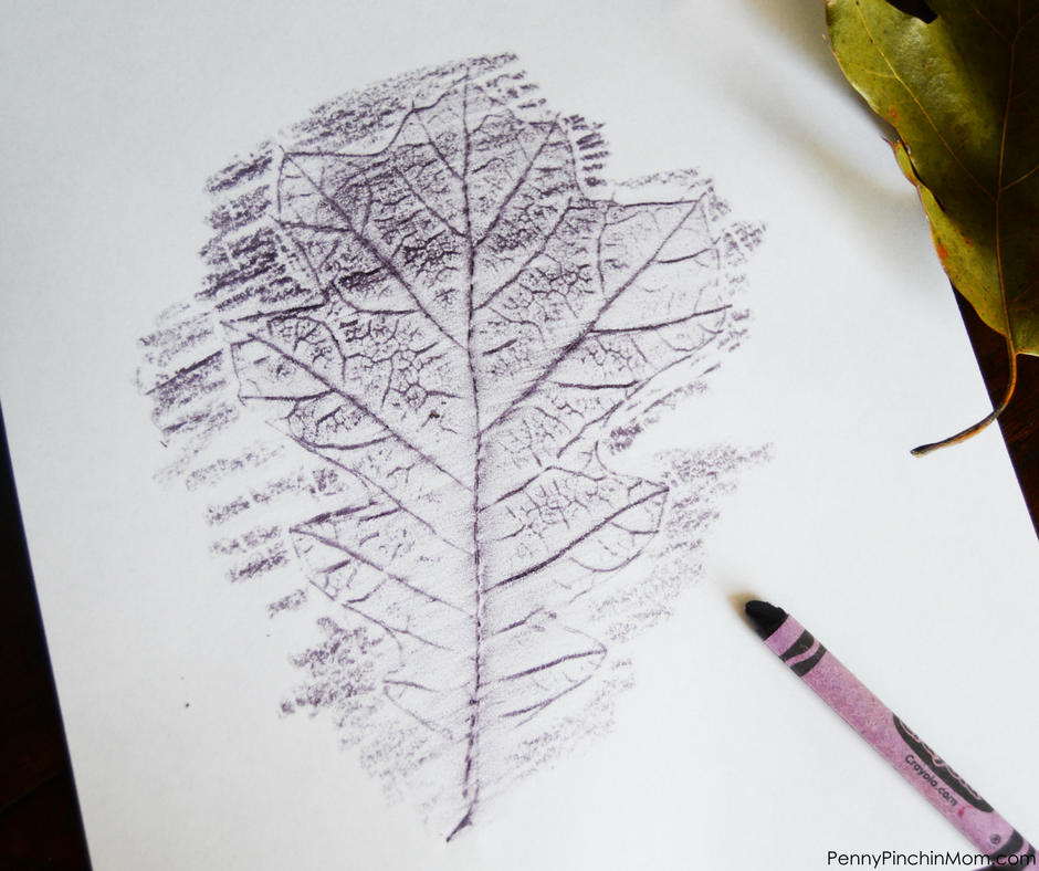 Fall Leaf Rubbings A fun and easy fall craft or activity!