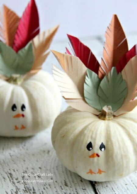 Turkey pumpkins
