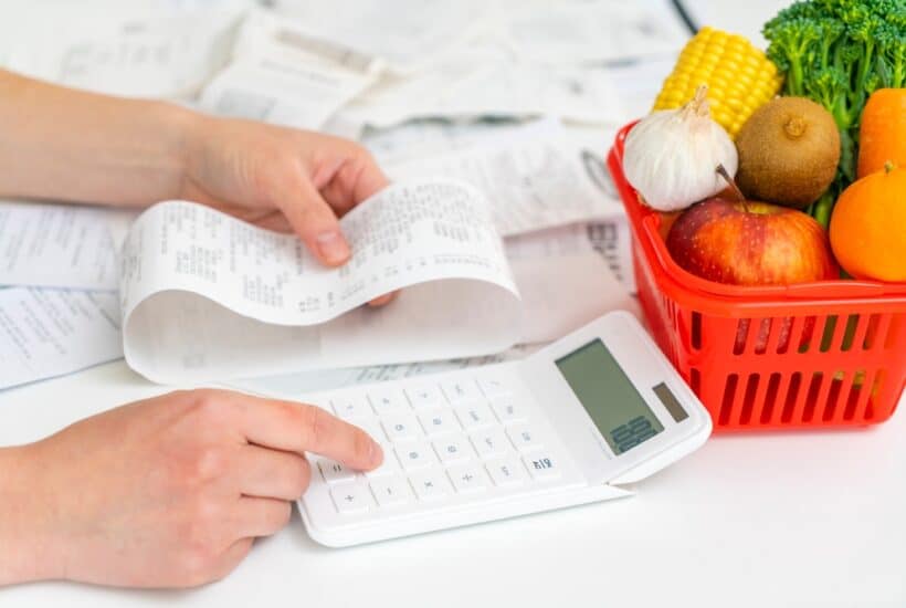 Guide To Budgeting: A Comprehensive Family Budget Categories List ...