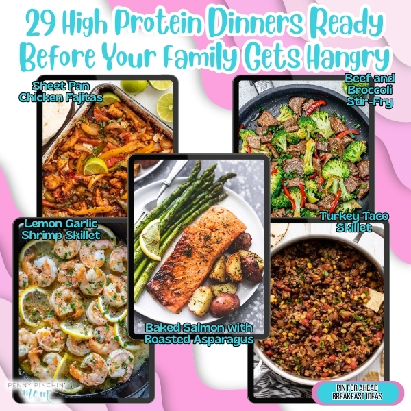High protein dinners 30 minutes: 29 quick, protein-packed meals plated and ready to serve before everyone gets hangry.