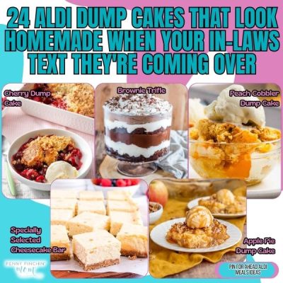 24 Aldi Dump Cakes That Look Homemade When Your In-Laws Text They’re Coming Over
