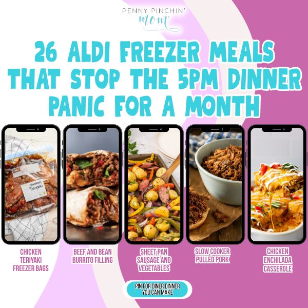 26 Aldi Freezer Meals That Stop the 5pm Dinner Panic for a Month