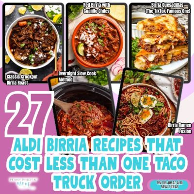27 Aldi Birria Recipes That Cost Less Than One Taco Truck Order