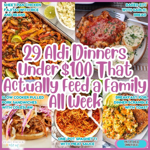 29 Aldi Dinners Under $100 That Actually Feed a Family All Week