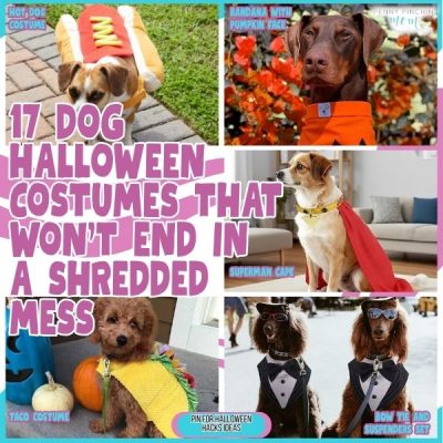 17 Dog Halloween Costumes That Won’t End in a Shredded Mess