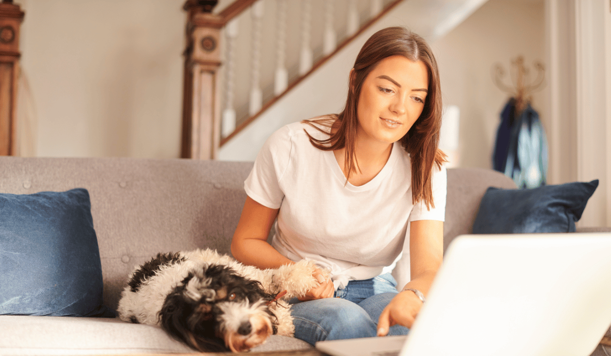 How To Compare Pet Insurance Plans