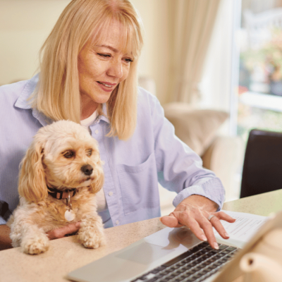 How To Compare Pet Insurance Plans